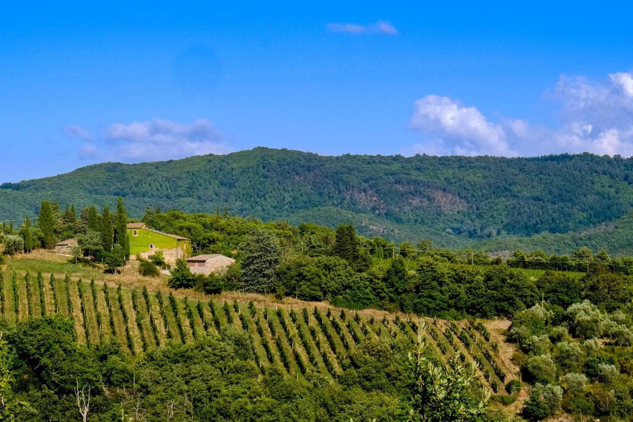 Podere Pruneto Radda in Chianti Zewnętrze zdjęcie