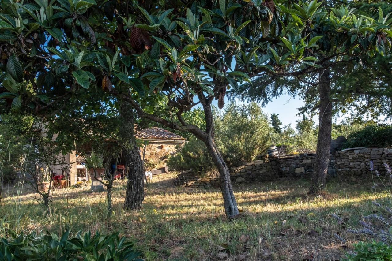 Podere Pruneto Radda in Chianti Zewnętrze zdjęcie