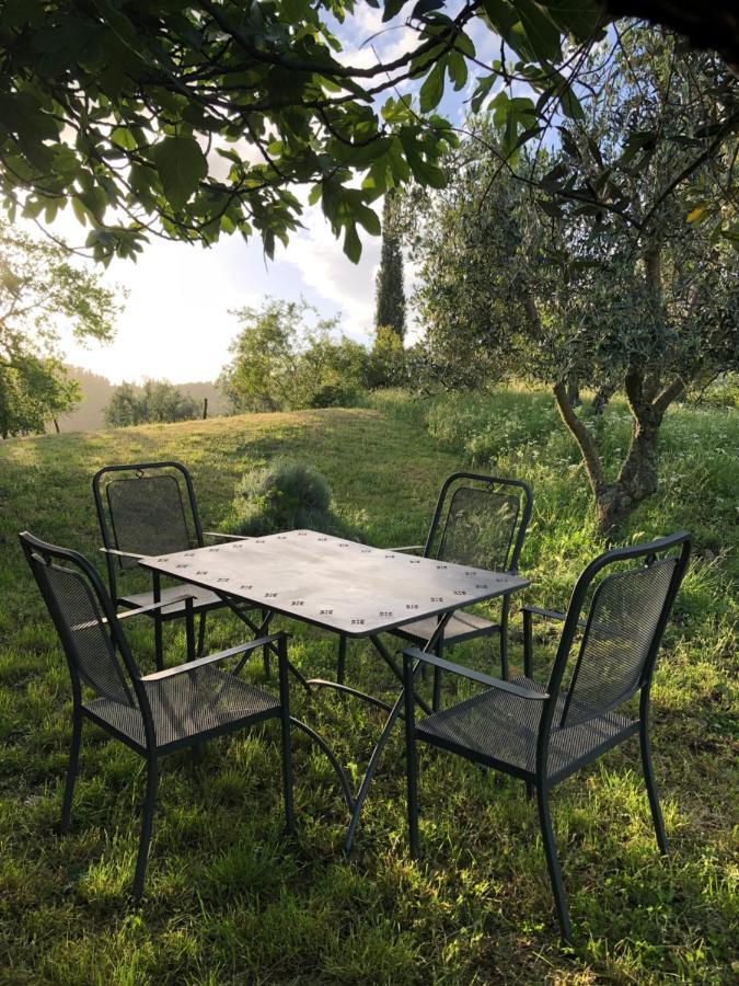 Podere Pruneto Radda in Chianti Zewnętrze zdjęcie